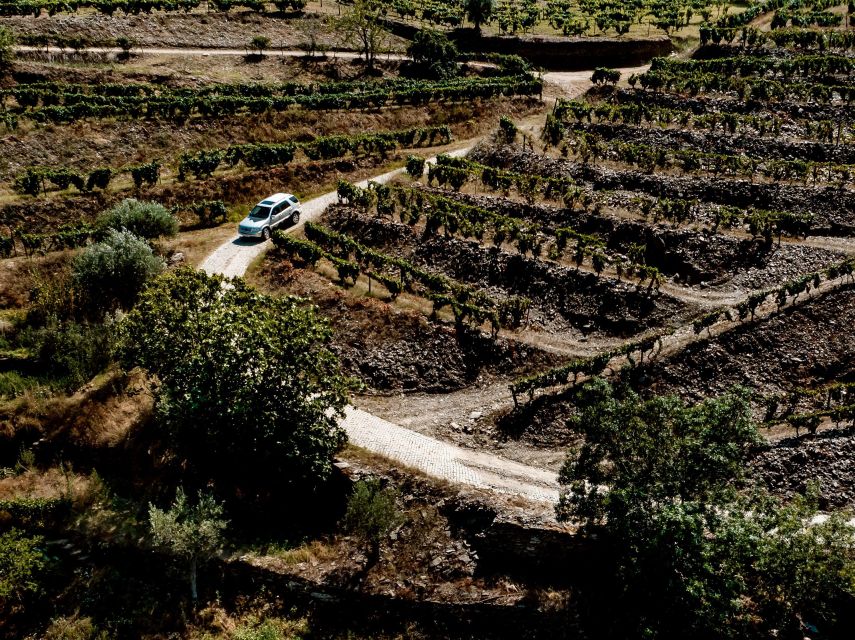 Porto: Private Douro Valley 4x4 Tour with Lunch - Is $294 per person good value?