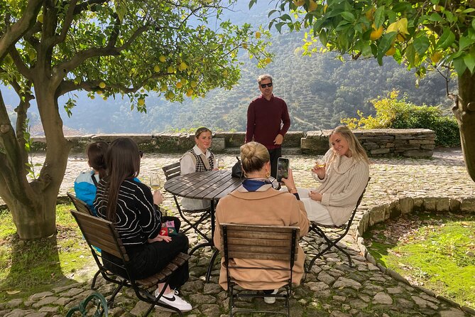 Porto: Private Douro Valley All Inclusive: Tastings, Lunch & Boat - Pinhão and an hour on the river