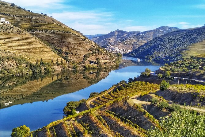 Porto: Private Douro Valley All Inclusive: Tastings, Lunch & Boat - Is $300.40 per person good value?