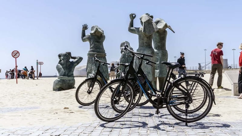 Porto Private E-Bike Tour: Douro River, Parks & Beaches - What the three-hour schedule really feels like