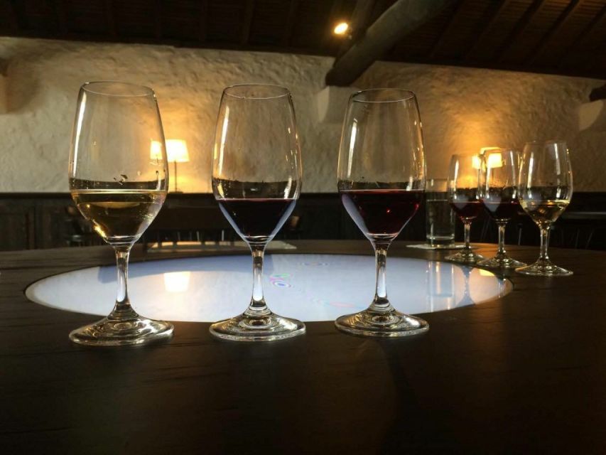 Porto: Private Guided Wine-Tasting Tour - Douro reds, Vinho Verde, and Port