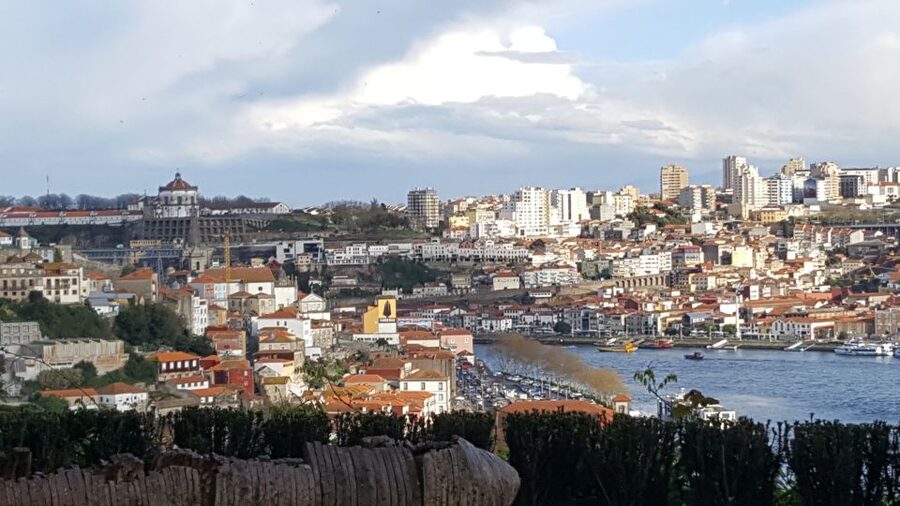 Porto: Private Half-Day as a Local Experience - Crystal Palace Gardens slow the pace