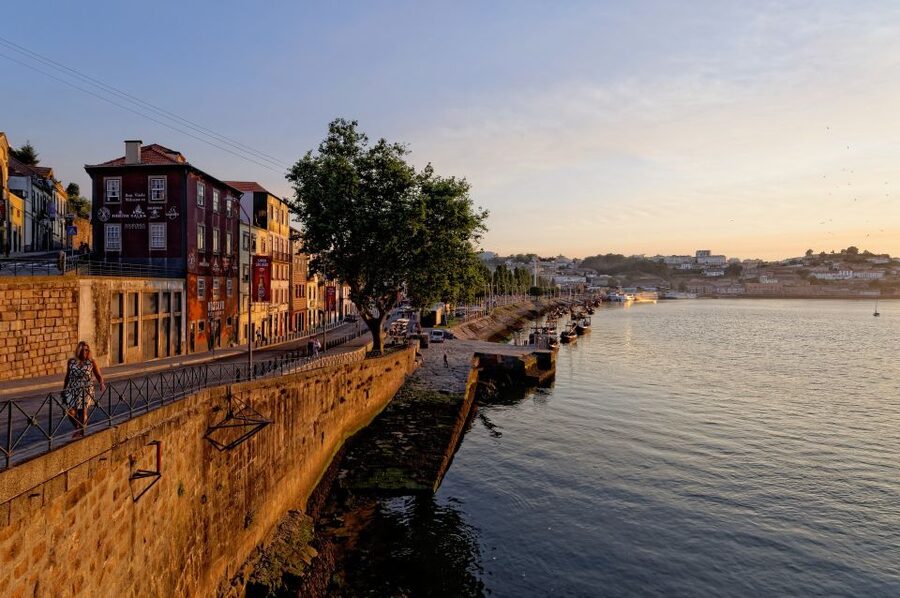 Porto Private Half Day Walking Tour: Cruise & Wine Tasting - Starting at the Lions Fountain in Porto