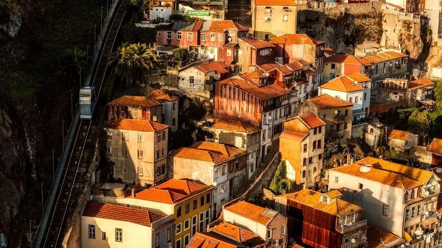 Porto Private Half Day Walking Tour: Cruise & Wine Tasting - Three hours among Porto’s historic sights