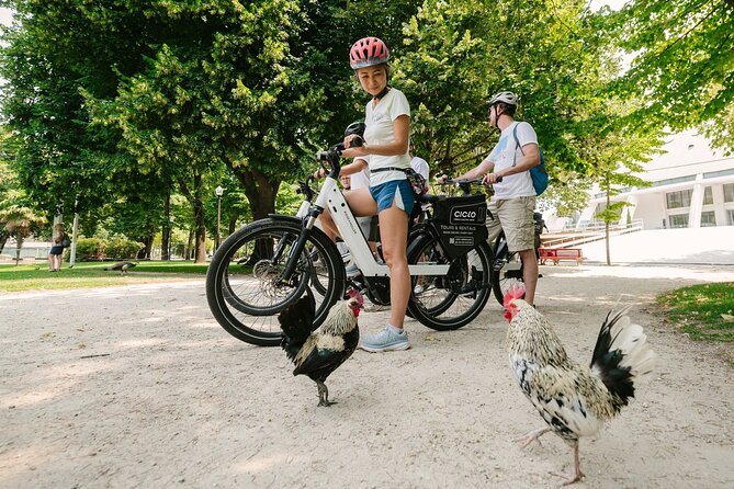 Porto Riverbank E-Bike Tour - Atlantic Coast, Gardens - From Vila Nova de Gaia to the Luís I Bridge