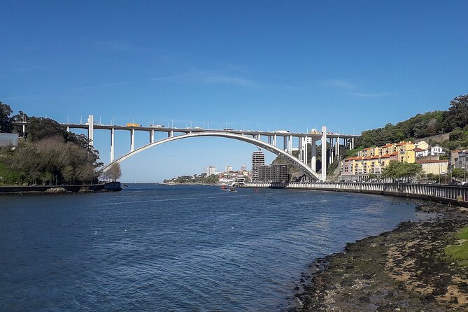 Porto Riverbank E-Bike Tour - Atlantic Coast, Gardens - Castelo do Queijo, Matosinhos, and the city park