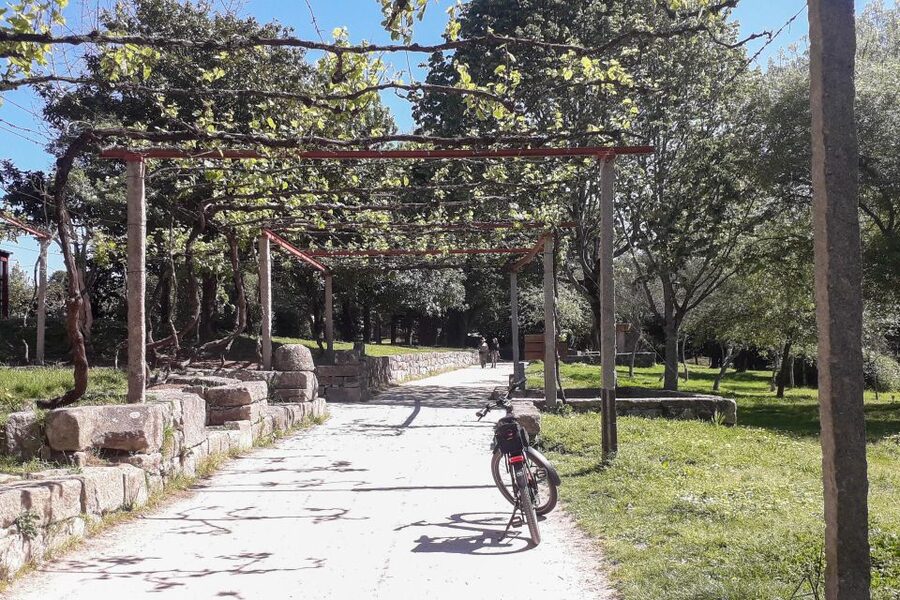 Porto Riverbank Tour on an e-bike: Atlantic Coast, Gardens - The bikes, hills, and effort level