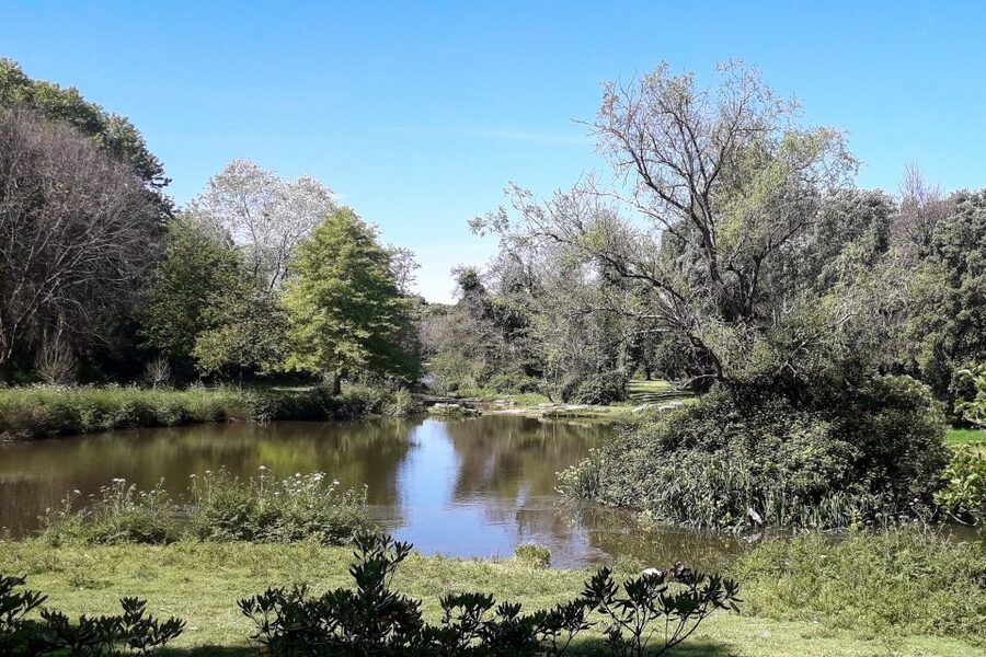 Porto Riverbank Tour on an e-bike: Atlantic Coast, Gardens - Jardim do Passeio Alegre and Foz do Douro