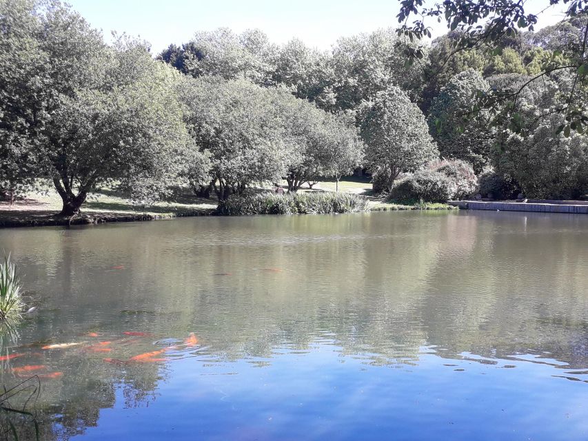 Porto Riverbank Tour on an e-bike: Atlantic Coast, Gardens - Castelo do Queijo and Matosinhos Beach