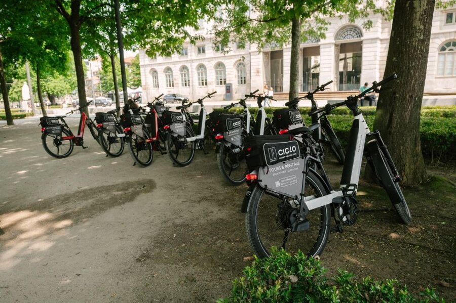 Porto Riverbank Tour on an e-bike: Atlantic Coast, Gardens - Parque da Cidade: a greener middle section