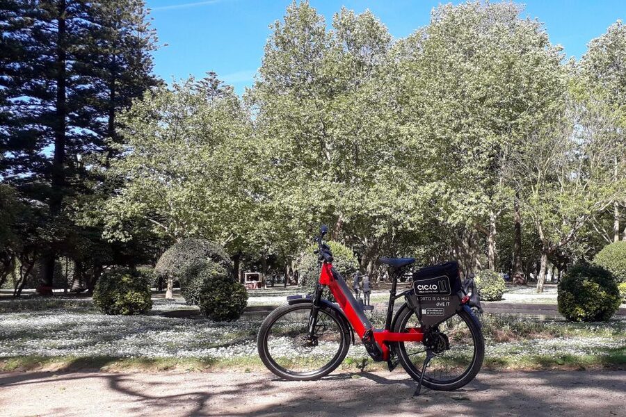 Porto Riverbank Tour on an e-bike: Atlantic Coast, Gardens - How the guides shape the ride