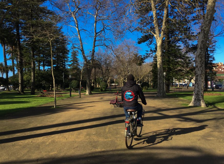 Porto: Riverside Panoramic E-Bike Tour - Under the Arrábida Bridge