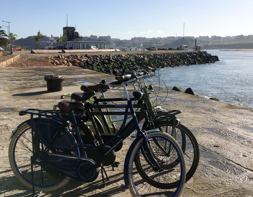 Porto: Riverside Panoramic E-Bike Tour - Parque da Cidade do Porto