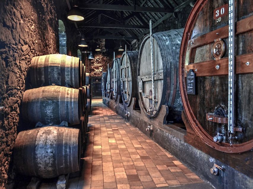 Porto: Self-Guided Bike and Boat Tour with Port Wine Tasting - Small practical details that affect the day