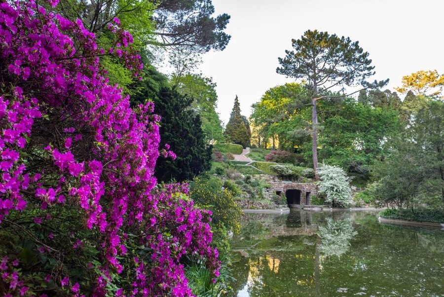 Porto: Serralves Foundation All Access Pass - How Much Time Should You Allow?