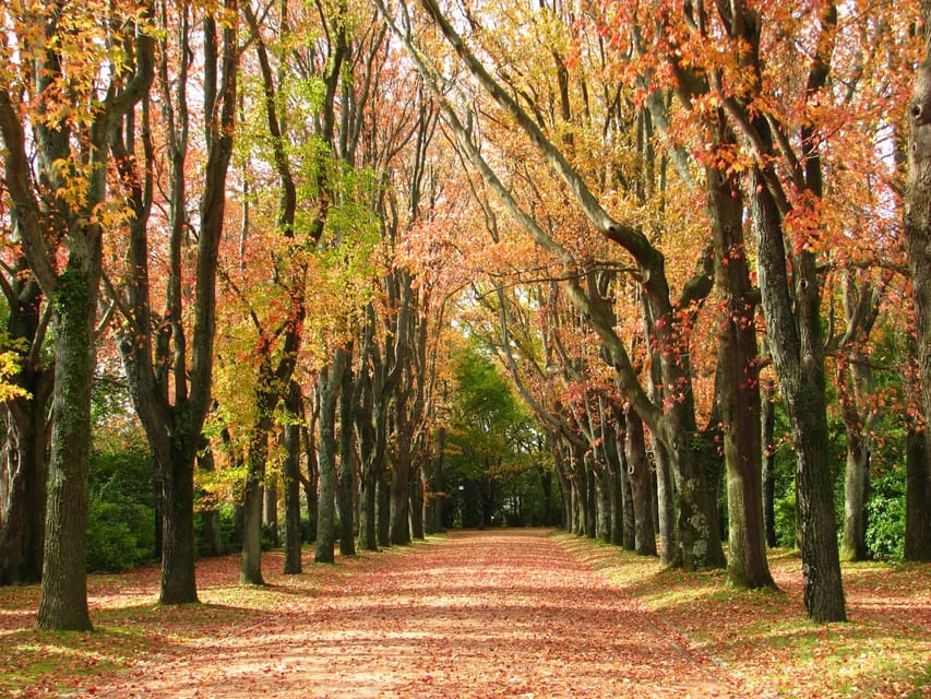 Porto: Serralves Foundation All Access Pass - Who Should Book the Serralves Pass?