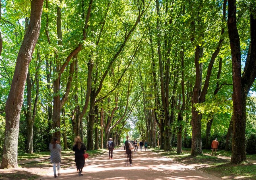 Porto: Serralves Park Entry Ticket - How long to spend in the park