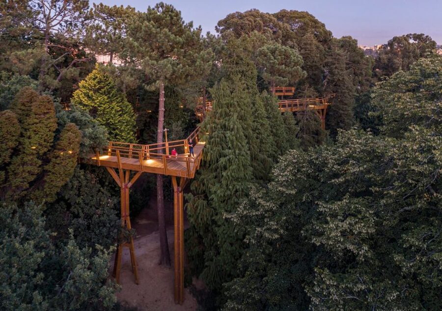 Porto: Serralves Park Entry Ticket - Walking through 8,000 plants and 230 varieties
