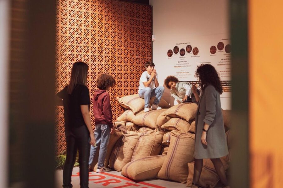 Porto: Taylor’s Port Cellar Tour & WOW Museum Pack - Walking, timing, and who should skip it