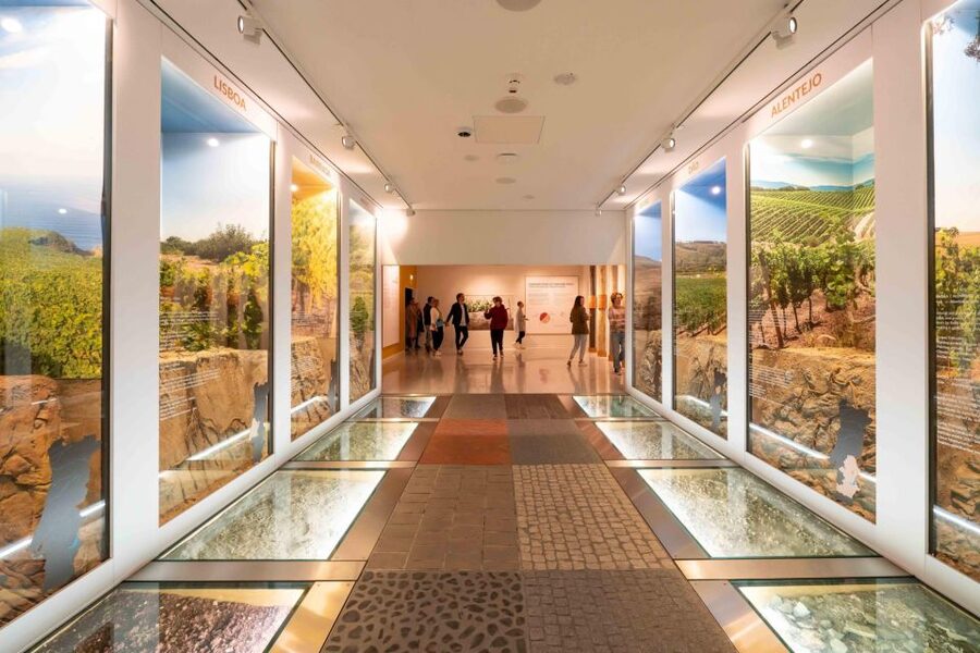 Porto: Taylor’s Port Cellar Tour & WOW Museum Pack - Starting at the WOW cultural district