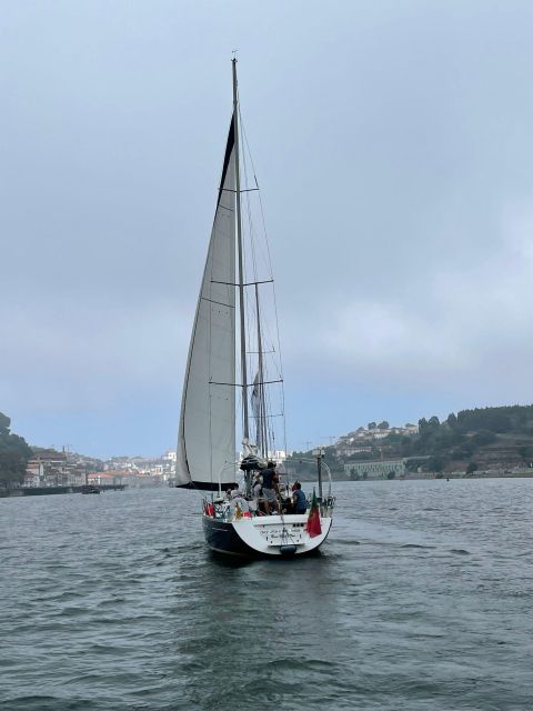 Porto: The Best Douro Boat Tour - Key points before you book