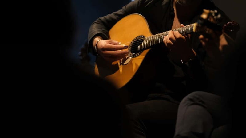 Porto: The highest-rated traditional fado concert (downtown) - Key points to know before booking