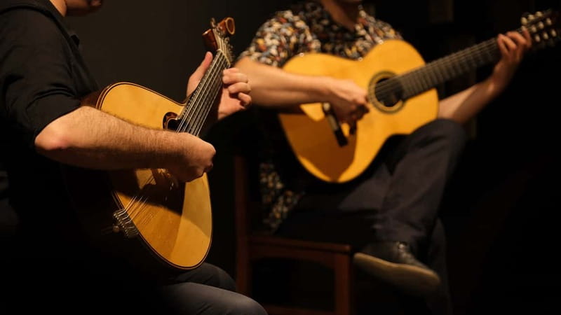 Porto: The highest-rated traditional fado concert (downtown) - What the one-hour program includes