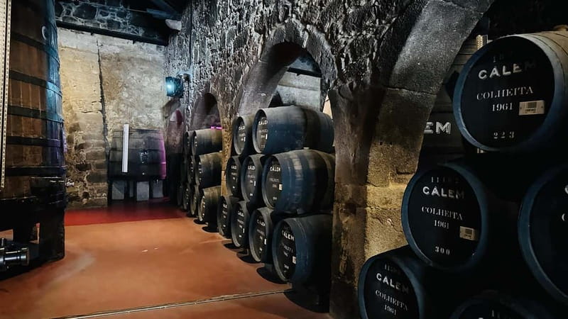 Porto to Gaia Experience: City Walk and Wine Cellars - Porto’s center sets the stage