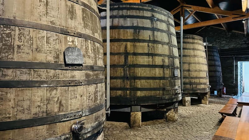 Porto to Gaia Experience: City Walk and Wine Cellars - Batalha, the cathedral quarter, and the city walls