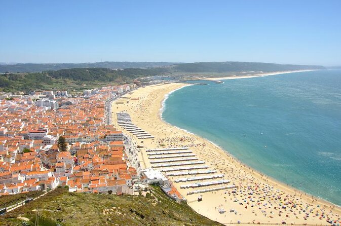 Porto to Lisbon up to 5 stops Aveiro Coimbra Fátima Nazaré Óbidos - Key points to know before booking