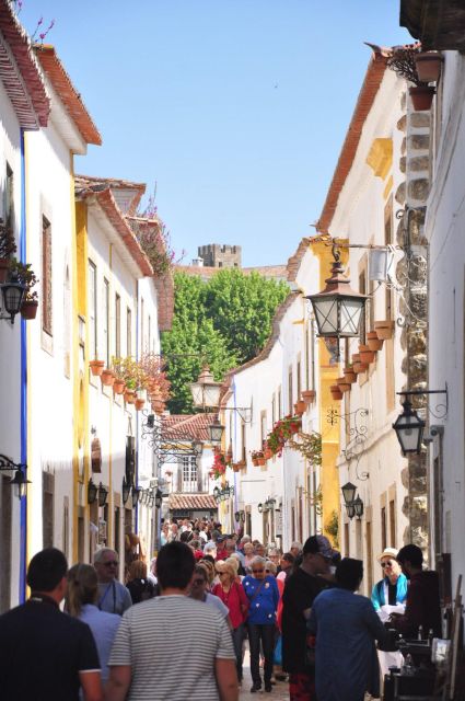 Porto to Lisbon with Aveiro-Coimbra-Fátima-Nazaré-Óbidos - What your driver adds to the day