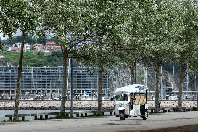 Porto Tuk Tuk: Clérigos, Seaside & Viewpoints - with Options - The Dom Luís I Bridge and the Douro crossing