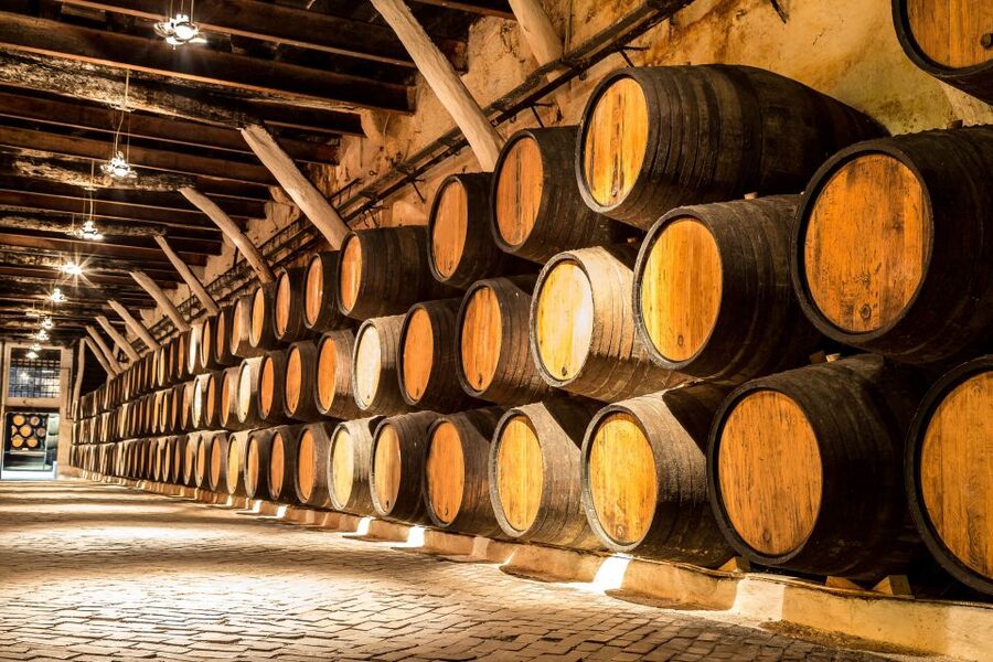 Porto: Tuk-Tuk Tour, Douro River Cruise, and Wine Tasting - Arranging the winery visit and Port tasting