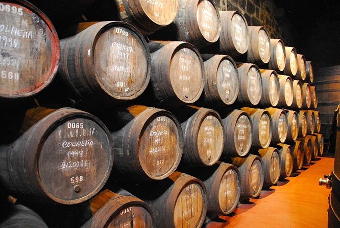 Porto: Visit and Wine Tasting at Taylor's Port Cellar - Key points to know before booking