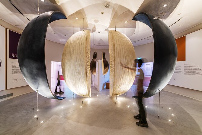Porto: Wine Experience Museum with 3 Wine Tastings - The self-guided format gives you room to set the pace