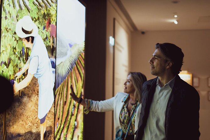 Porto: Wine Experience Museum with 3 Wine Tastings - Why the interactive displays work better than a basic wine museum