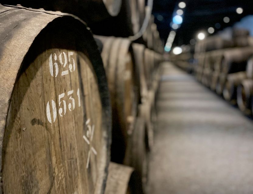 Porto: Wine Tasting with Tapas Walking Tour - The guides make the difference