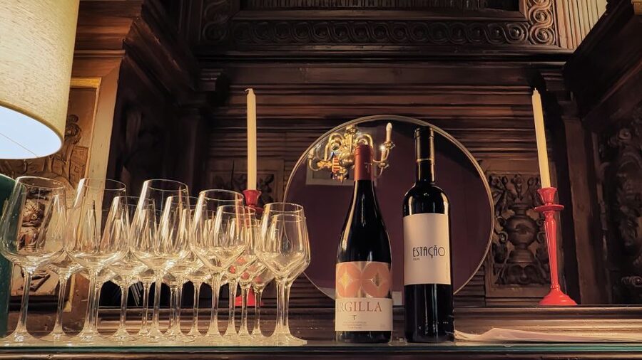 Porto: Wine Tour & One Hour Fado Show | All Included - Porto views between the tasting and the music