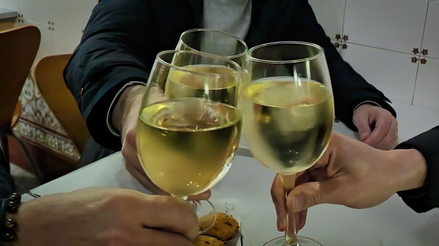 Porto: Wine Tour & One Hour Fado Show | All Included - Who should book this experience
