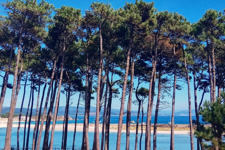 Portonovo: Ferry to Cies Islands & Rodas Beach - The weather question matters here