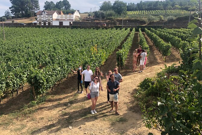 Premium Douro Valley Small-Group Tour, Wine Tasting, Lunch & Boat - The drive from Porto to the Douro Valley