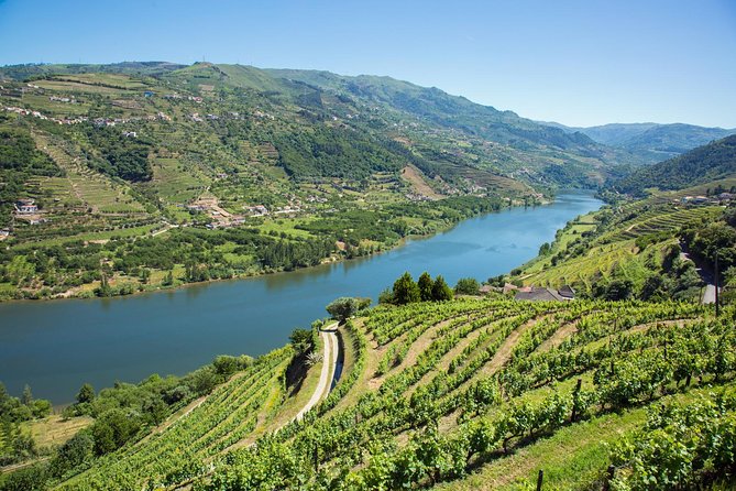 Premium Douro Valley Small-Group Tour, Wine Tasting, Lunch & Boat - Pinhão, the station, and the river