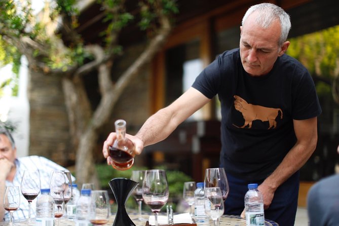 Premium Private Douro Tour: 3 Wineries with Tastings & Lunch - Why the Douro makes a worthwhile day trip from Porto