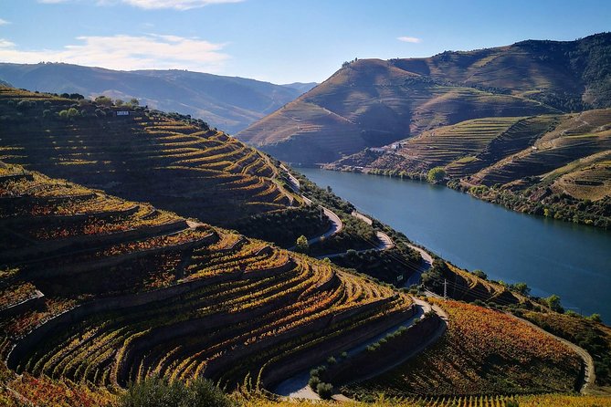 Premium Private Douro Tour: 3 Wineries with Tastings & Lunch - Lunch near Pinhão and a taste of local life