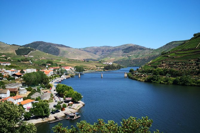 Premium Private Douro Tour: 3 Wineries with Tastings & Lunch - Quinta Seara d’Ordens and the final tasting