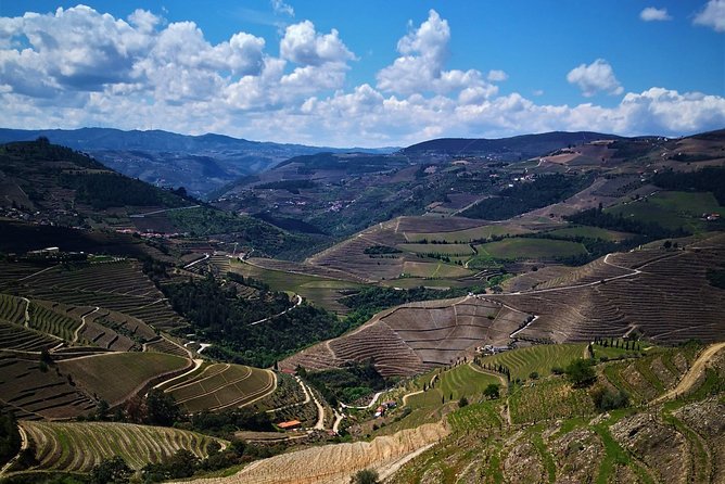Premium Private Douro Tour: 3 Wineries with Tastings & Lunch - What the private format really adds