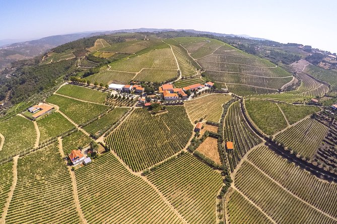 Premium Private Douro Tour: 3 Wineries with Tastings & Lunch - Is $520.23 per person good value?