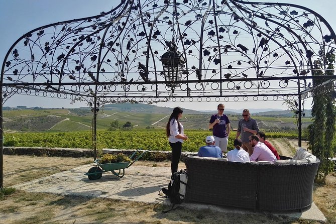 Premium Private Douro Tour: 3 Wineries with Tastings & Lunch - Morning pickup and the road east