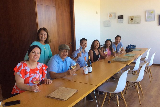Premium Private Vinho Verde Tour:3 Wineries with Tastings & Lunch - Who gets the best value from this experience