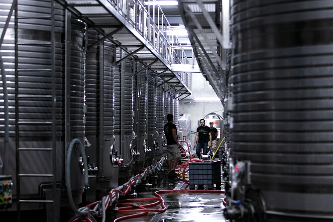Premium Private Vinho Verde Tour:3 Wineries with Tastings & Lunch - Price, booking details, and cancellation